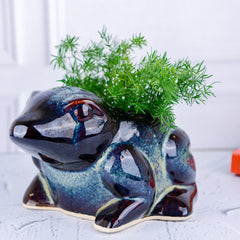 Frog Planter