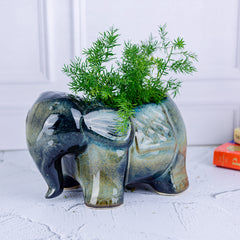 Elephant Planter