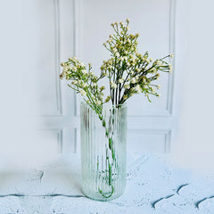 The Crsytal Haven Collection - Shade Lucid