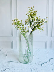 The Crsytal Haven Collection - Shade Lucid