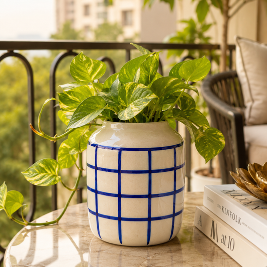 The Vista Check Vase