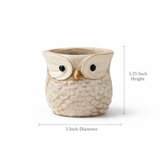 Terra and Sage Mini Planters