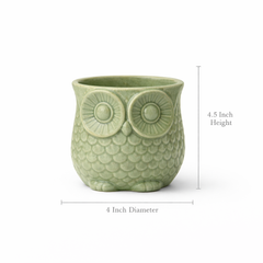 Willow Owl Planter